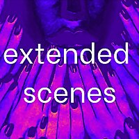 Extended Scenes
