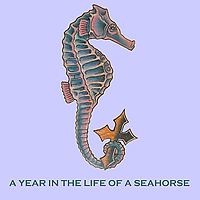 A Year in the Life of a Seahorse