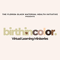 Birthincolor: Virtual Learning Miniseries