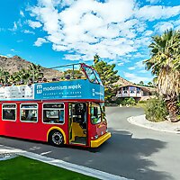 A Bert's Eye View - Palm Springs Modernism, History and much More