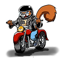 Zombies, Skulls and Motorcycles