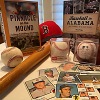 See You at the Ballpark!