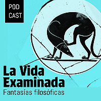 La vida examinada