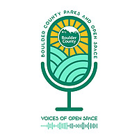 Voices of Open Space