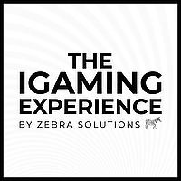 The iGaming Experience