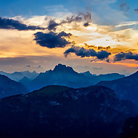 The Herbal Medic Deep Dive