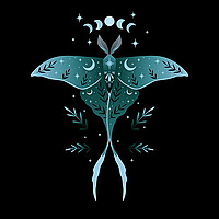 An Alchemical Life
