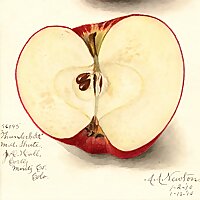 Western Slope Archives