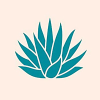 Agave Tales : from the plant to the palate