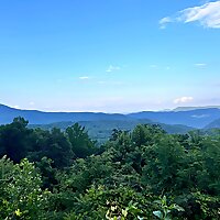 The Wiseman Genealogy Show