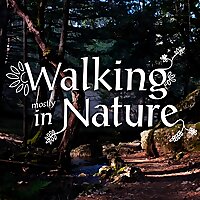 Walking in Nature: field recording, walking and talking
