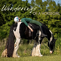 Wonderings of a Horsegirl