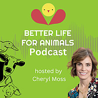 Better Life for Animals