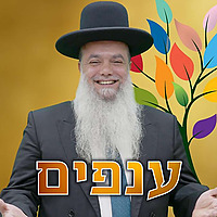 הרב יגאל כהן - שיעורים שבועיים