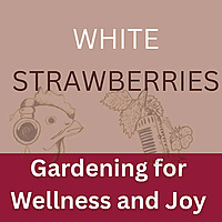Gardening for Wellness & Joy: White Strawberries