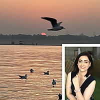 Kahani aur Kavita / कहानी और कविता - stories/ poetry from Hindi literature/ हिंदी साहित्य