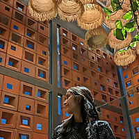 The Data Science Podcast