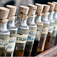 Homoeopathic Materia Medica