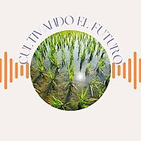 Cultivando el Futuro en Bihar