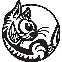 Cruzio Stories: Santa Cruz at Work