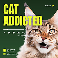 Cat Addicted