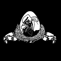 The Poultry Network Podcast