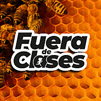 Fuera de clases