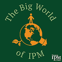 The Big World of IPM