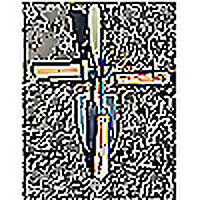 Picking Jesus