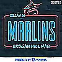 Bleav in Marlins