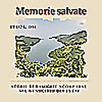 Memorie salvate