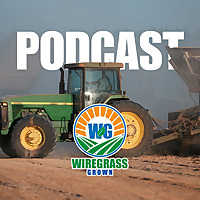 Wiregrass Grown Podcast
