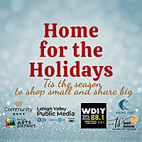 Home for the Holidays