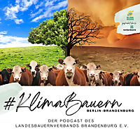 KlimaBauern: Der Podcast des Landesbauernverbands Brandenburg e. V.