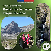 Ruta Patrimonial Radal Siete Tazas: Parque Nacional