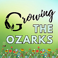 Growing the Ozarks
