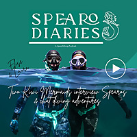 Spearo Diaries