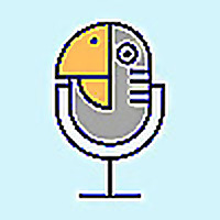 The Midwest Birding Podcast
