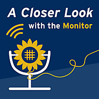 A Closer Look with the Monitor