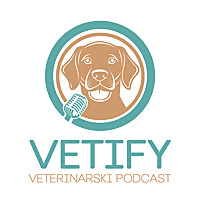 Vetify Podcast