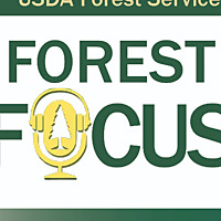 Forest in Focus Custer Gallatin National Forest
