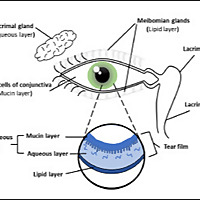 Eye Treatment