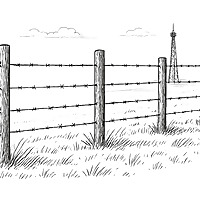 Yolo Backyard Bulletin