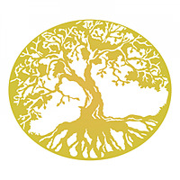 Soul Maps   Vedic Astrology
