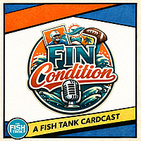 Fin Condition