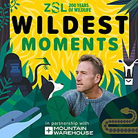ZSL's Wildest Moments