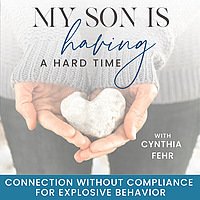 Meltdowns With Boys | Separation Anxiety, Aggression, Regulate Emotions, Defiant, Sensory Issues