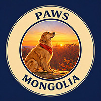Paws Mongolia
