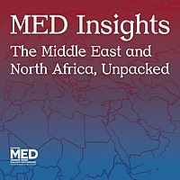 MED Insights