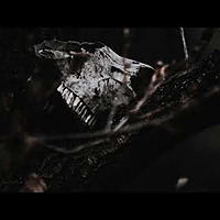 True Scary Stories - Relax Your Mind
